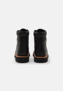 Harley Davidson Vista RidgeStivaletti StringatiBlack Uomo Scarpe HD112E00A-Q12 8 Harley Davidson Vista RidgeStivaletti StringatiBlack Uomo Scarpe HD112E00A-Q12 -Chic Scarpe Negozio 22834ca75f4e4ca88a4c2209085affa5