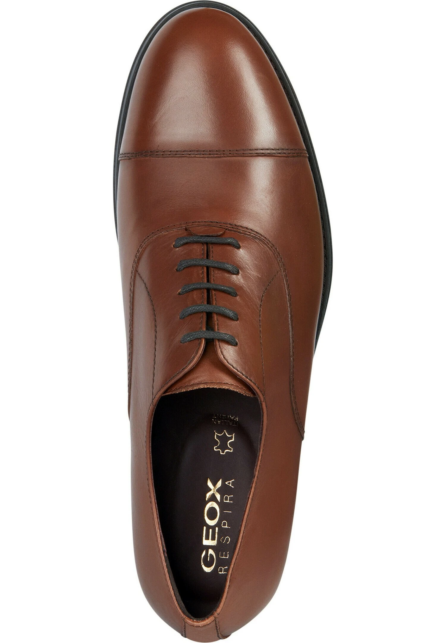 Geox U Decio - Stringate Eleganti - Light Brown 3 Geox U Decio - Stringate Eleganti - Light Brown - immagine 3